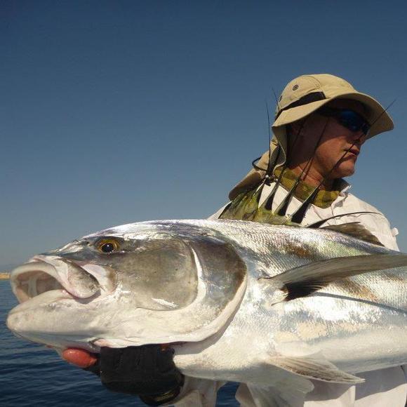 Meet your Posher, Joseph - Picture 1 of 1